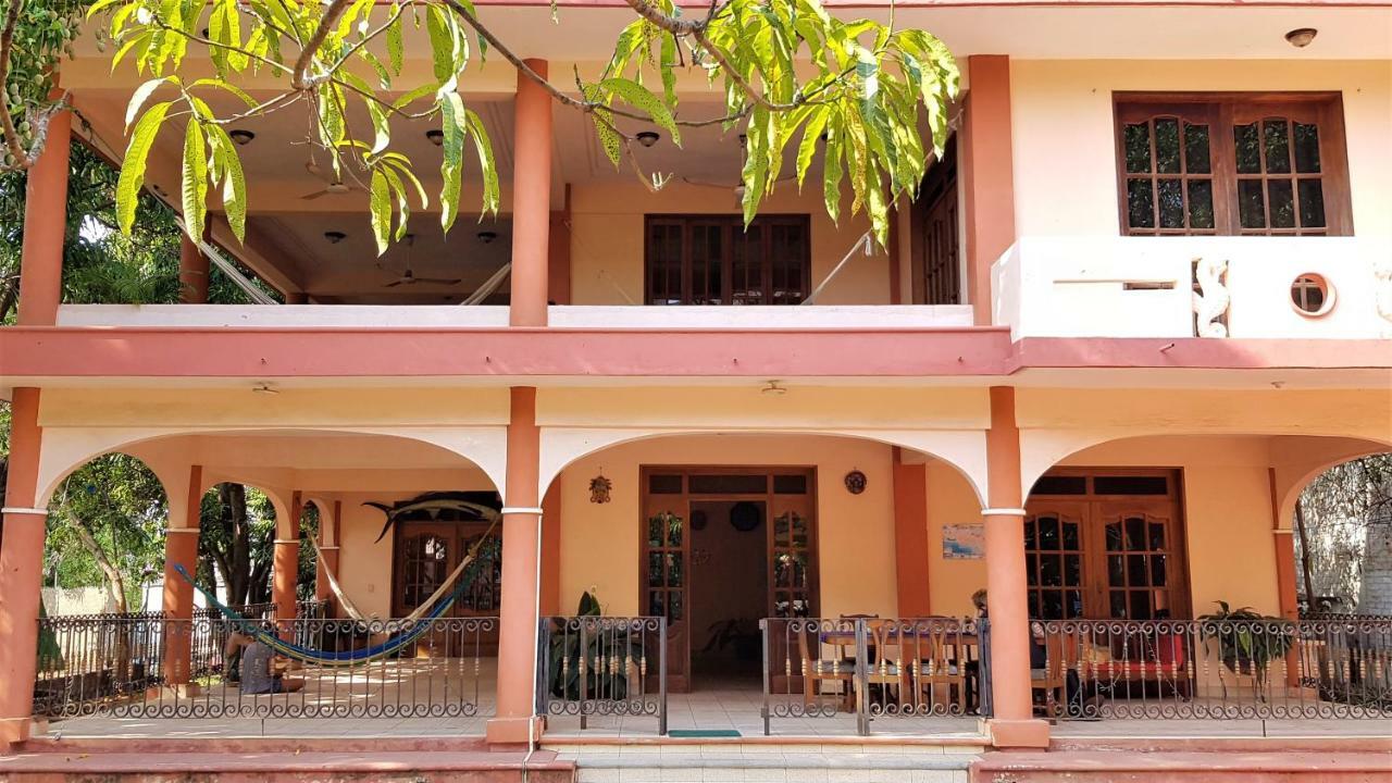 Villa Mango Hostel Puerto Escondido  Exteriér fotografie